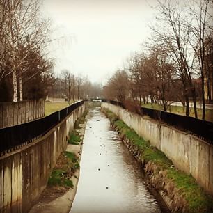 Bulwary Rawy

#Rawa #katowicenielizbona #katowice #szopienice #river #water #rzeka #bulwary #tree #drzewa #fauna #spacer #walk #most #bird #plener #spring