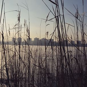 #Morawa #morawy #bagier #szopienice #katowicenielizbona #katowice #trawa #woda #zalew #bloki #wieżowce #Wiezowiec #zieleń #plener #outside #sky #niebo