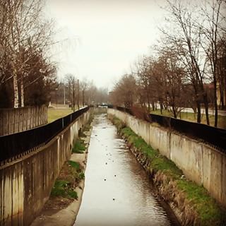 Bulwary Rawy

#Rawa #katowicenielizbona #katowice #szopienice #river #water #rzeka #bulwary #tree #drzewa #fauna #spacer #walk #most #bird #plener #spring