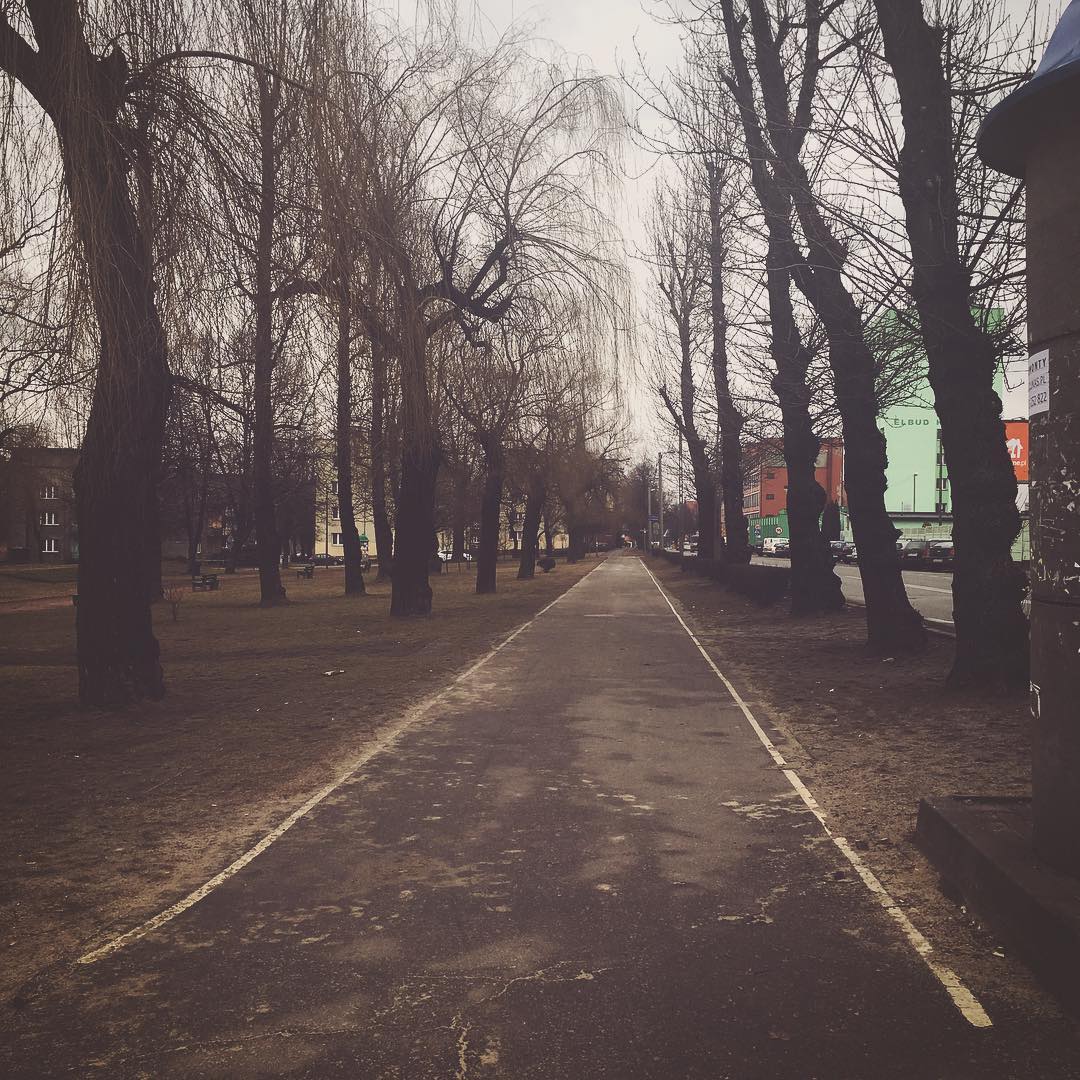 Skwer Rodzieskiego road sciezka track trees drzewa szopienice slask slaskie