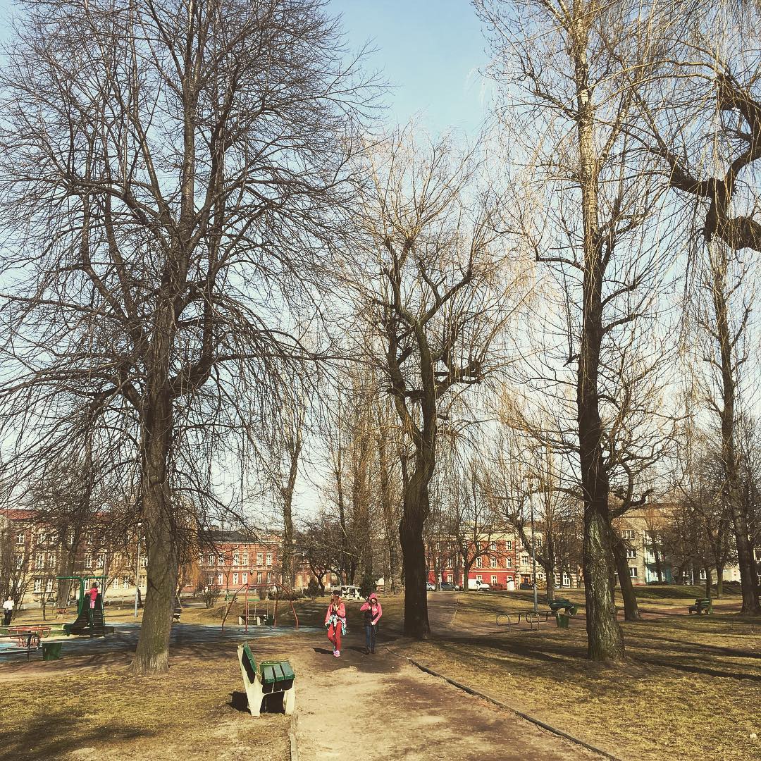 Weekend witamy socem! szopienice skwer drzewa trees tree kids sun