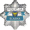 KOMISARIAT V POLICJI