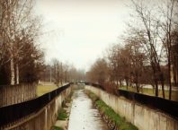 Z Rawy wyłowiono topielca